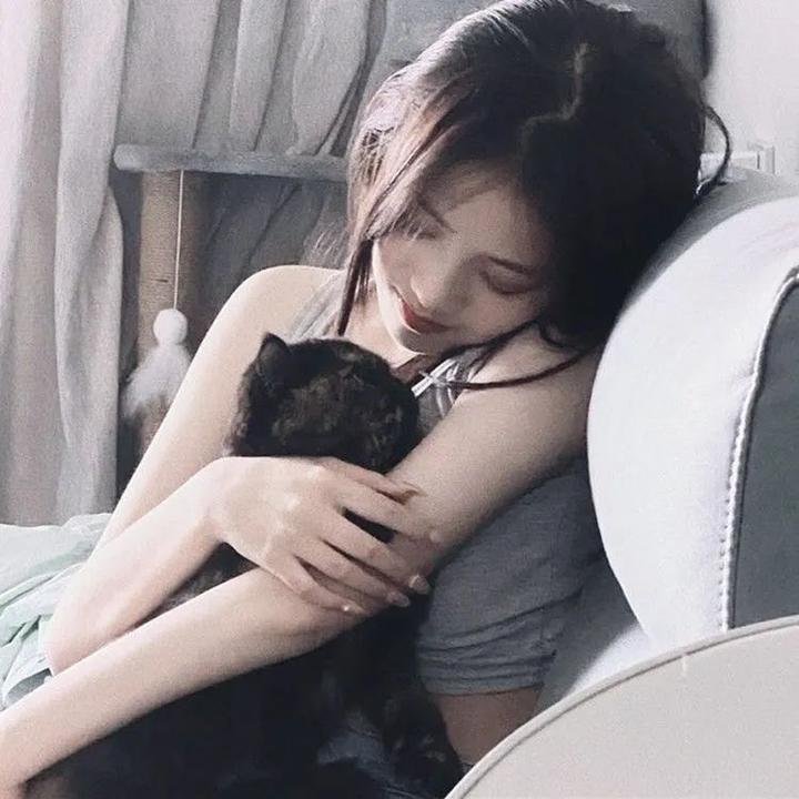 金银死封面